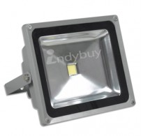 Soy Impulse 20 LED Outdoor 20Watts Flood Light-Pure White